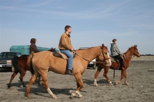 img_0558