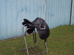 saddle_2 saddle_2