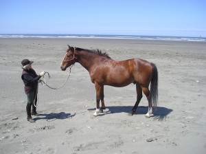 Floyd after treatment