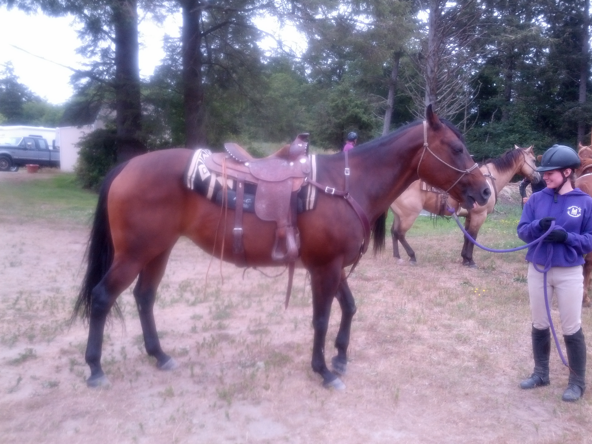 Photos of The Horses 8.21.14